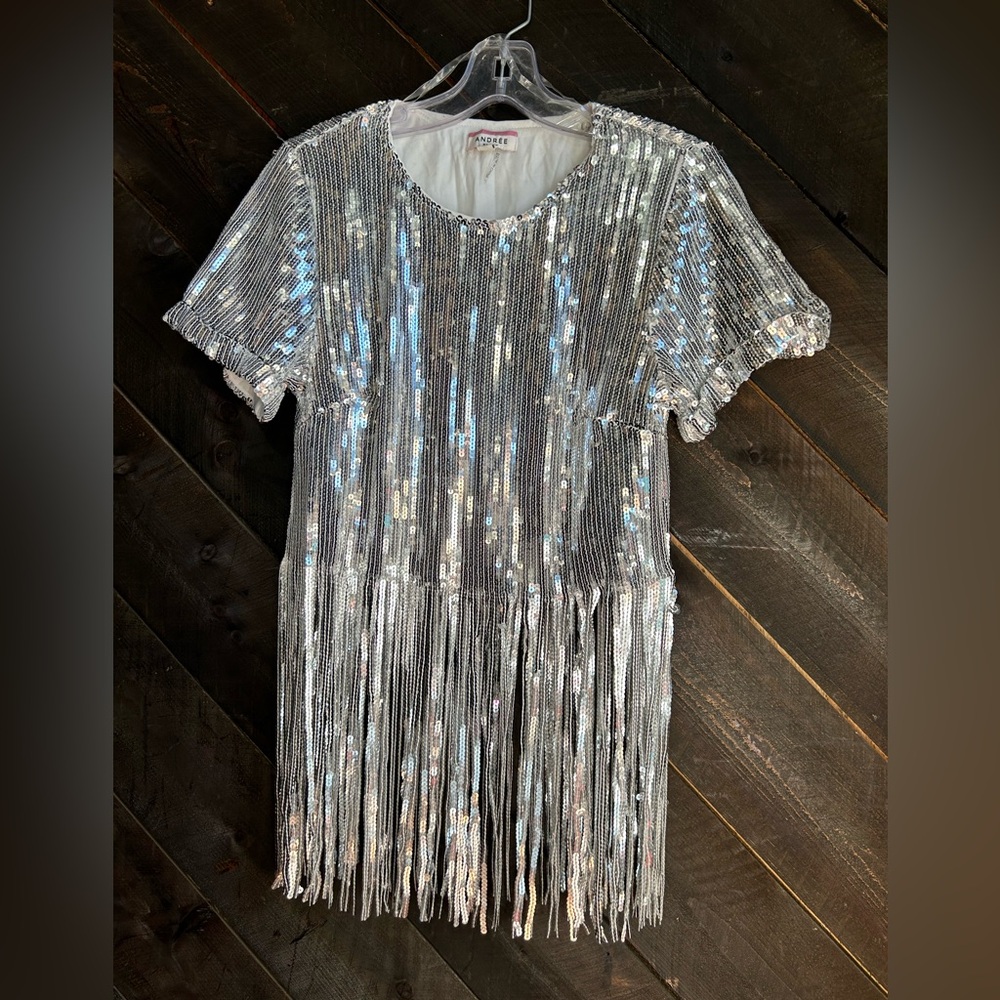 Bnwt Silver Sequin Crop Fringe Top